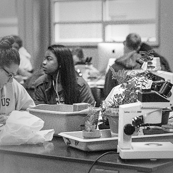 Environmental Education